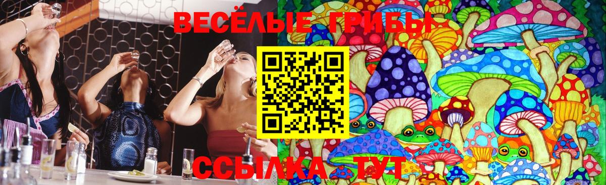 Галлюциногенные грибы MAGIC MUSHROOMS  как найти   Михайловка  Вход с VPN 
