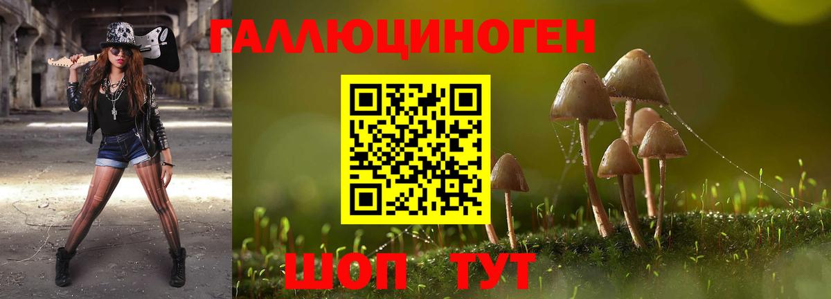 Галлюциногенные грибы Psilocybe Михайловка